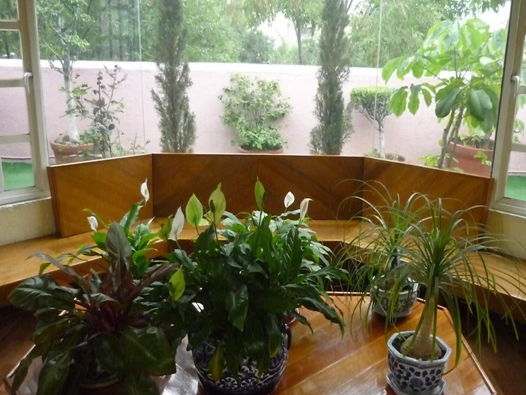 Casona Roma Norte Meksyk Zewnętrze zdjęcie
